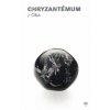 Chryzantémum 1 1
