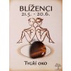 Kámen podle znamení - BLÍŽENCI