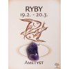 Kámen podle znamení - RYBY