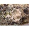 Thomsonit mineral 110x35x80 mm 160g #C492 Indie