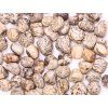 Tumbled Moon Zebra Stone M size 20 - 30 mm #663 Brazil