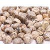 Tumbled Moon Zebra Stone M size 20 - 30 mm #663 Brazil