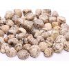 Tumbled Moon Zebra Stone M size 20 - 30 mm #663 Brazil