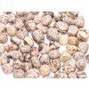 Tumbled Moon Zebra Stone M size 20 - 30 mm #663 Brazil