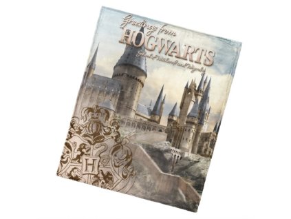 Dětská deka Harry Potter Bradavické tajemství
