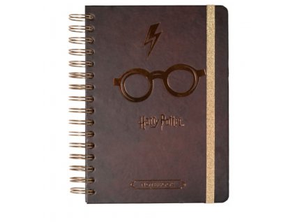 Harry Potter zápisník s ikonickými brýlemi