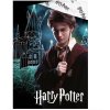 Dětské povlečení Harry Potter Kouzelné Bradavice