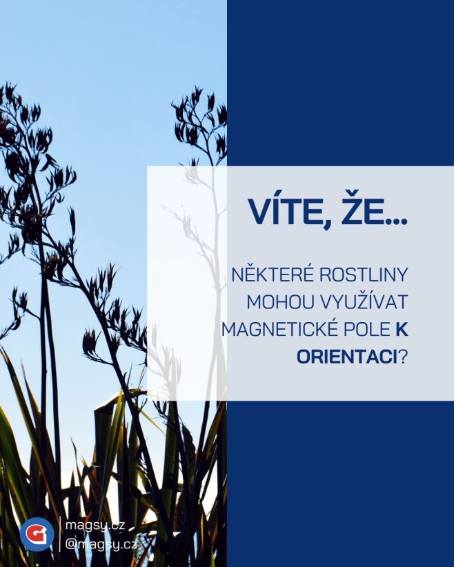 💡 Víte, že některé rostliny mohou využívat magnetické pole k orientaci? 🌿 #magsy🧲 #magsy #magneticke #systemy #magnety