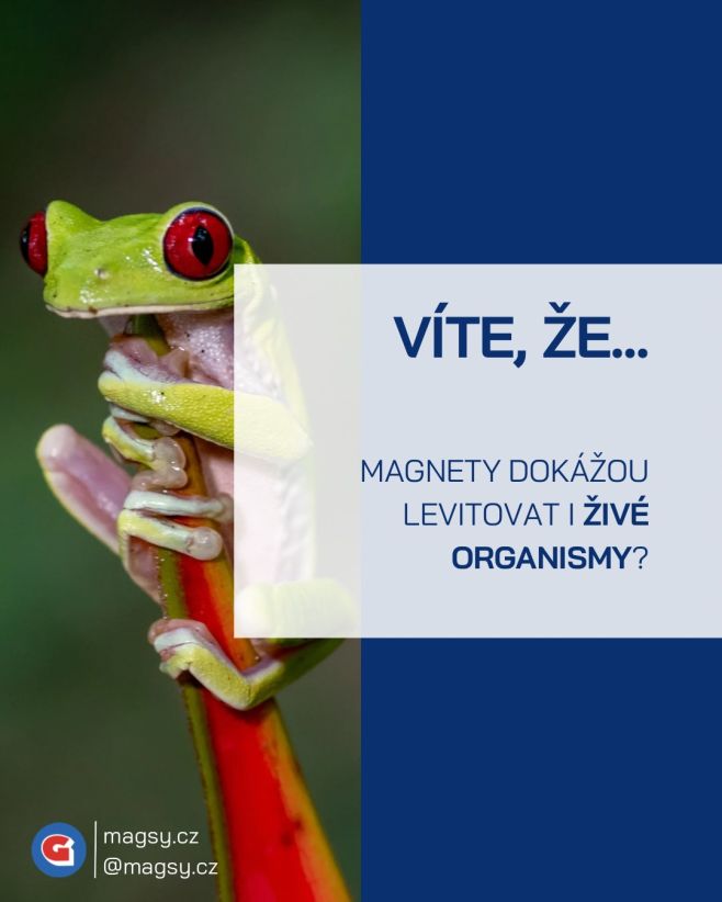 Víte, že magnety dokážou levitovat i živé organismy? 🐸 #magsy🧲 #magsy #magneticke #systemy #magnety