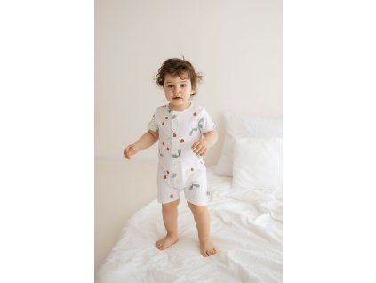 Photoroom 20260403 181524