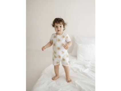 Photoroom 20260404 094011