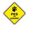 Samolepka Pes na palubě 4