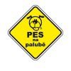 Samolepka Pes na palubě 3