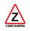 Magnet Začátečník a navíc blondýna
