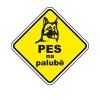 Samolepka Pes na palubě 2