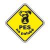 Samolepka Pes na palubě 6