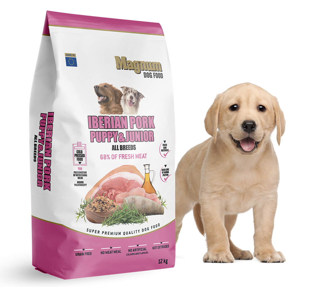 puppy-junior-01