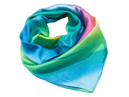 63sk009 50.30