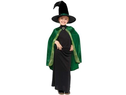 10576 Kostým McGonagallové, Harry Potter