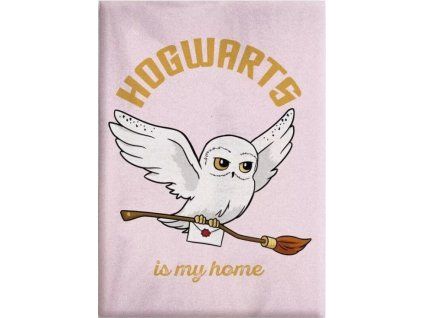 10635 Deka růžová s Hedvikou, Harry Potter