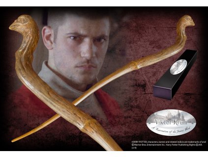 591 Hůlka Viktor Krum