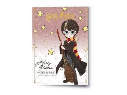 2230 Přáníčko Harry Potter a odznáček 2