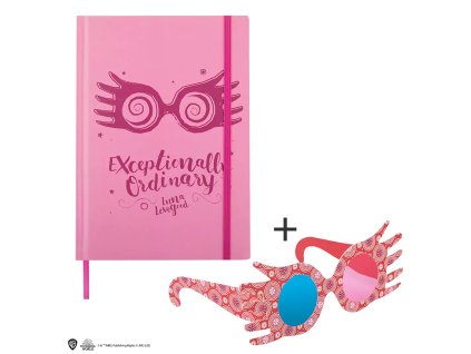 7158 Deník:blok A5 Lenka Láskorádová růžový s brýlemi Harry Potter 1