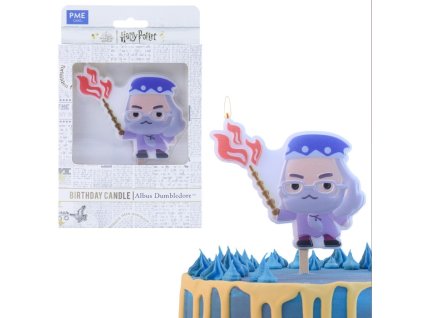 8022 Svíčka Albus Brumbál, Harry potter