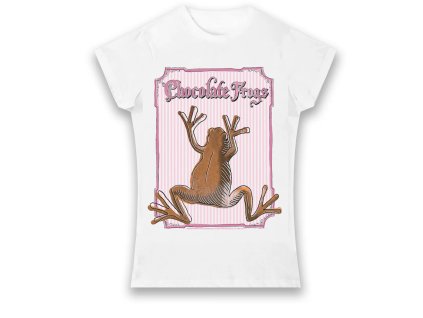 1290 Tričko s čokoládovou žabkou, Harry Potter