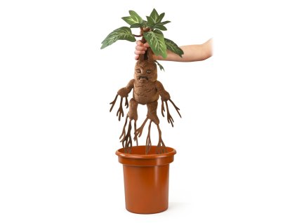 mandragora interaktivni 1