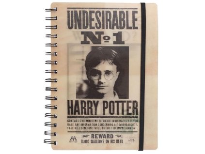 Zápisník Sirius Black a Harry Potter, měnící