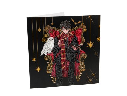 harry potter crystal Art pohlednice hedvika (2)