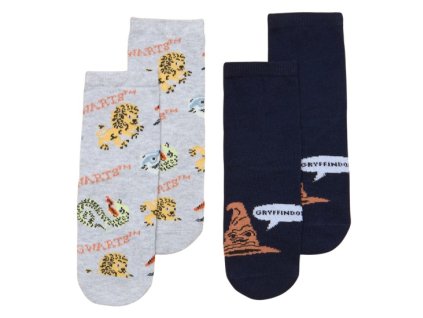 Ponožky dětské 2 ks, moudrý klobouk, Harry Potter