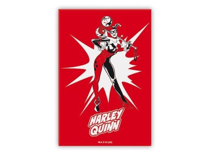 Magnet Harley