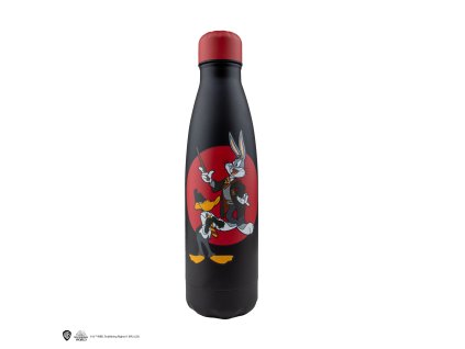 WaterBottle GryffindorLooneyTunes Product 3 4895205615045