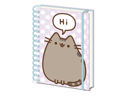 Zápisník kroužkový Hi, Pusheen