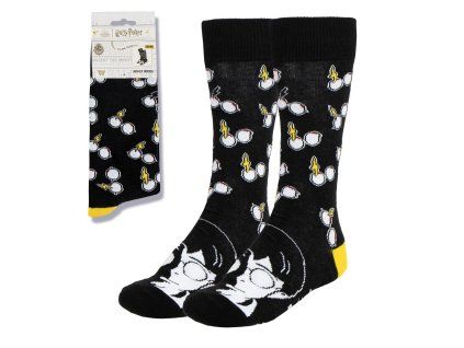 Ponožky brýle a jizva, Harry Potter