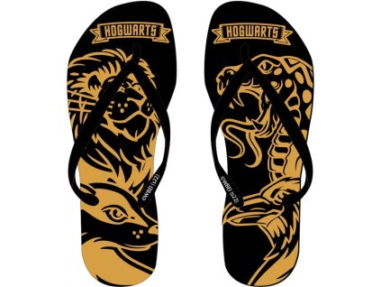 10520 Žabky pánské, Harry Potter