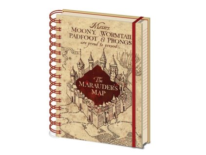 8495 Zápisník Pobertův plánek, Harry Potter