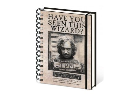 8496 Zápisník Sirius Black, Harry Potter
