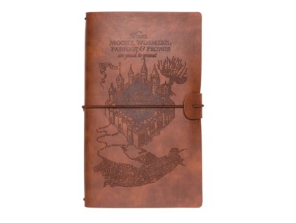 8495 Deník Pobertův plánek, Harry Potter (1)