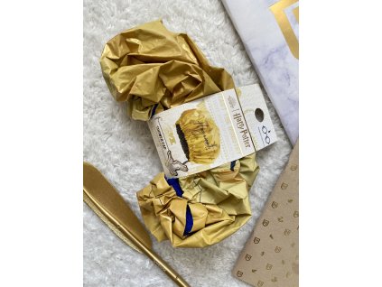 Koupací čepice Hogwarts, Harry Potter