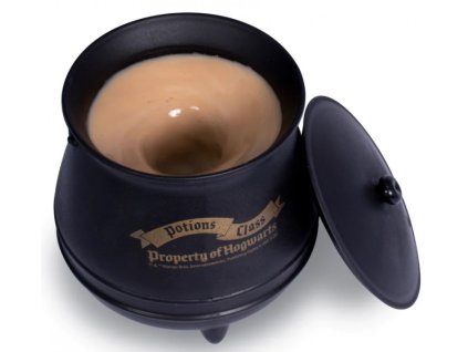 8607 kotlik 3d harry potter 3