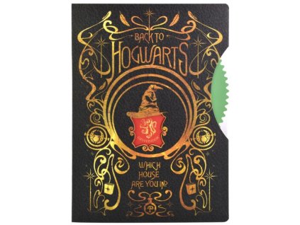 7181 Zápisník černý Harry Potter