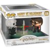 7619 Funko POP! 119 Harry Potter vs Voldemort 2