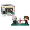 7619 Funko POP! 119 Harry Potter vs Voldemort 1