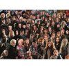 8342 Puzzle challenge postavy, Harry Potter2