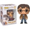 pop harry 2wands