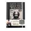 harry potter zapisnik sirius black (3)