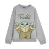 SWEATSHIRT COTTON BRUSHED THE MANDALORIAN GROGU (Velikost 14 let)